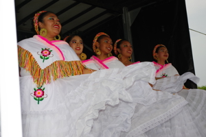 Imgp0853