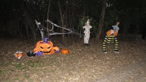 IMG_9667.JPG
